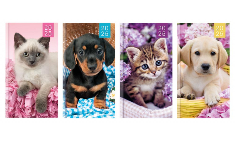 Kittens & Puppies, 2025 Slim Pocket Diary, 4 Asstd in CDU. DELIVERY AUGUST.