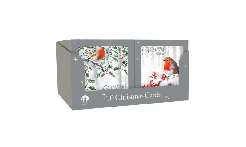 Xmas Traditional Robin & Snowscene Christmas Cards, 10 pack, 2 assorted.